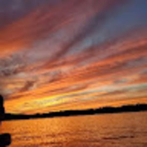 Meet your Posher, Dakota